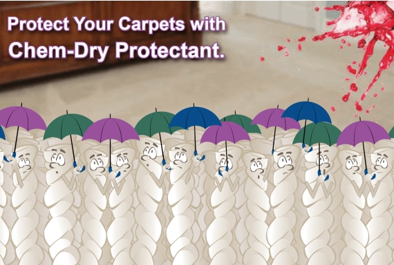 cartpet stain protectors