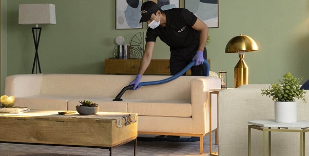 sofa chair cleaning