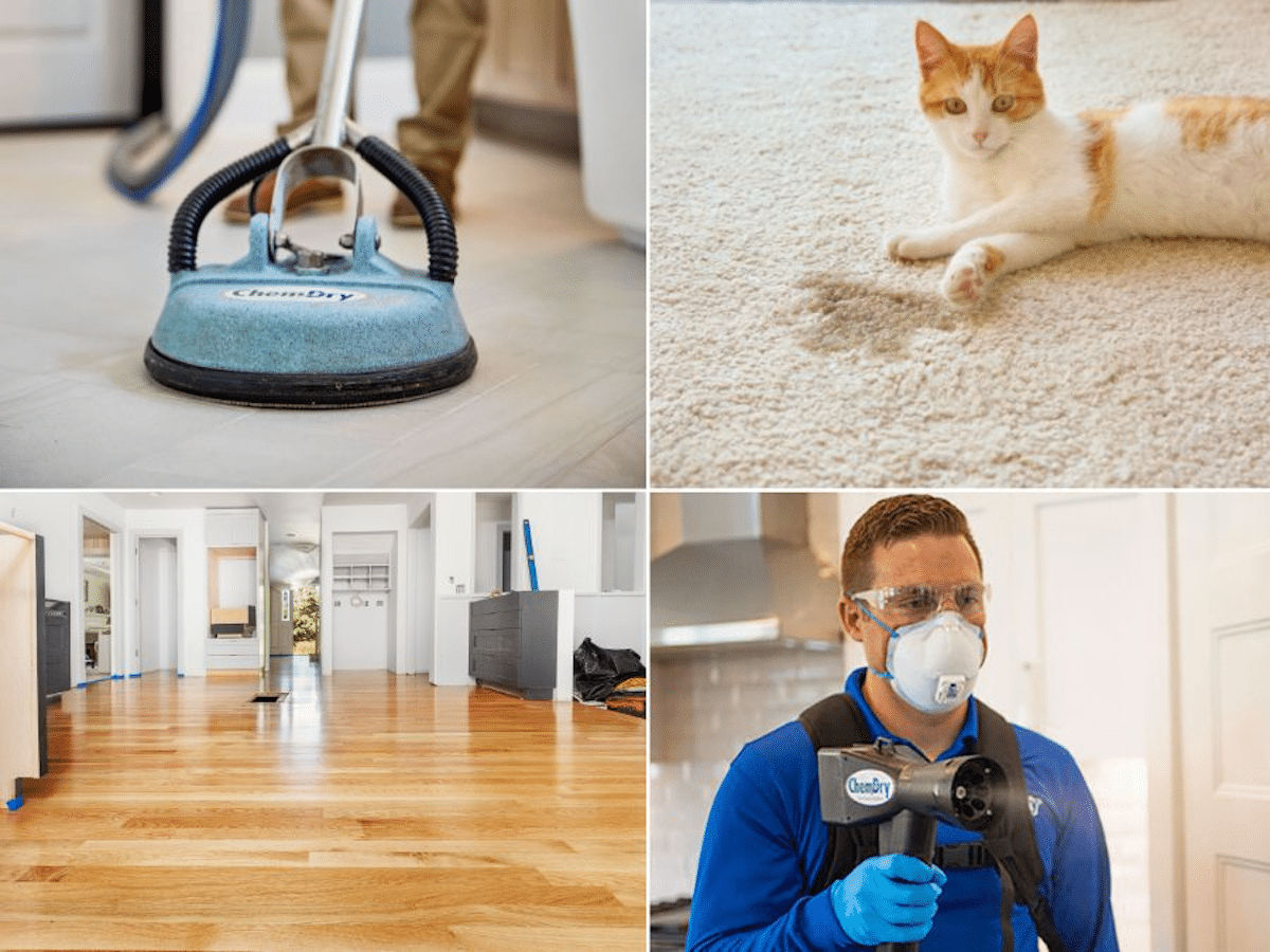Collage of Chem-Dry Malaysia’s vinyl and wood floor cleaning, sanitising and disinfecting services, including expert pet urine removal for a safe and spotless home